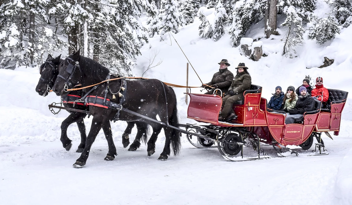 Pferdekutschenfahrten header mob