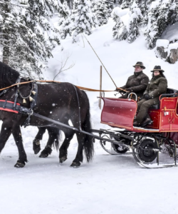 Pferdekutschenfahrten header mob